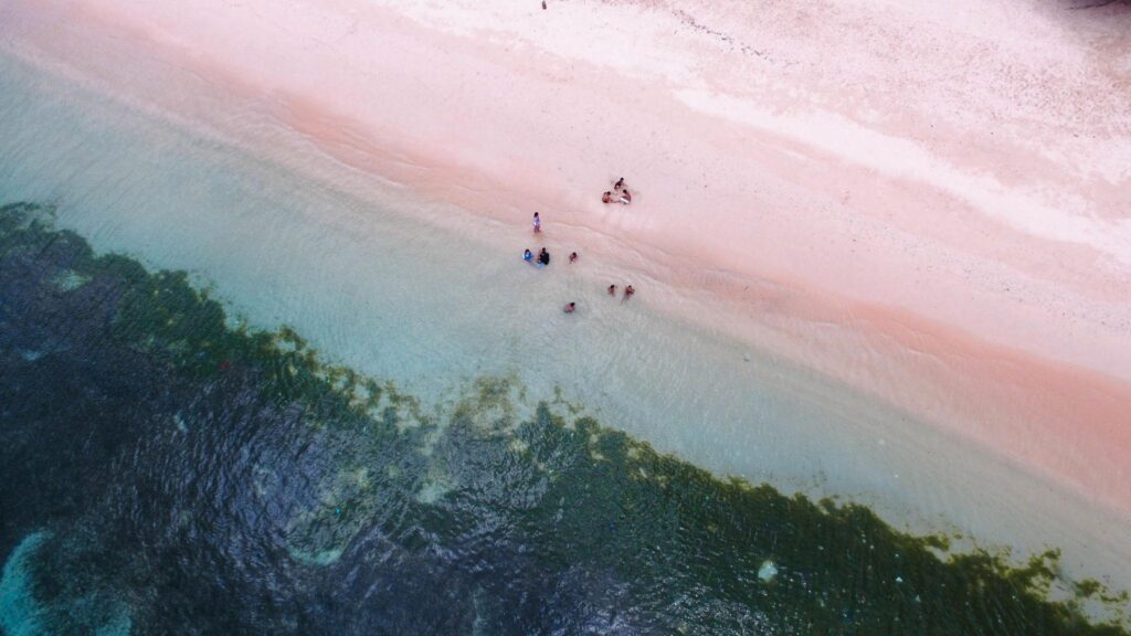 Pemandangan udara Pantai Pink Lombok Timur dengan pasir berwarna merah muda dan laut biru jernih