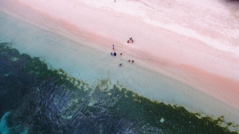 Pemandangan udara Pantai Pink Lombok Timur dengan pasir berwarna merah muda dan laut biru jernih